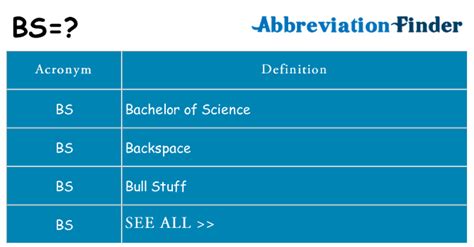 bs&a software|BS Definition & Meaning .